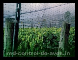 Las mallas antipájaros son ideales para instalar en forma de encajonamiento